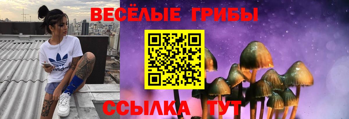 Галлюциногенные грибы мицелий  Галлюциногенные грибы мицелий  Вход с VPN  Фрязино 
